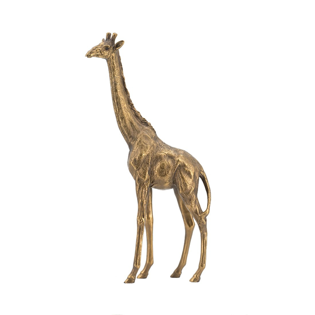 29CM Golden Giraffe