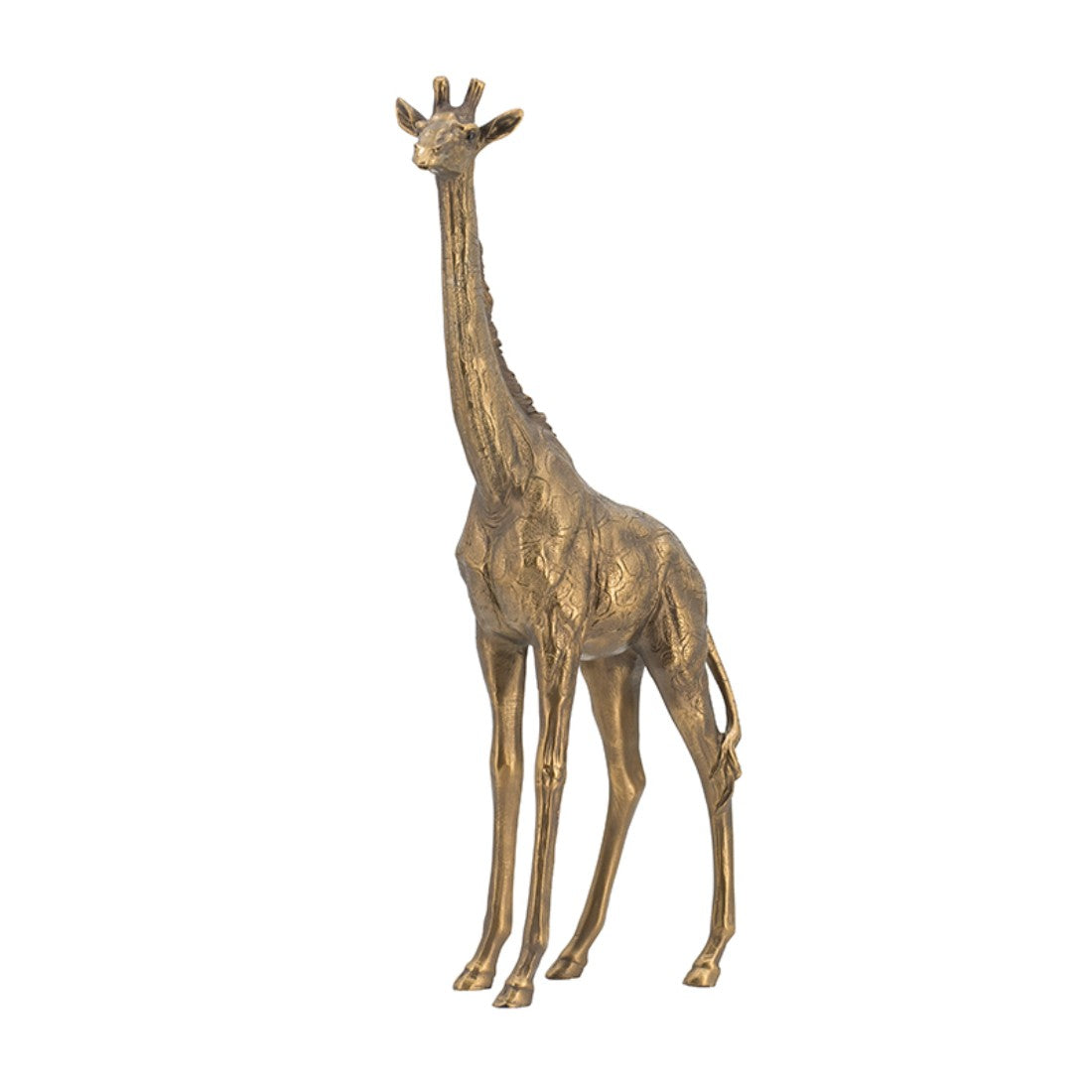 29CM Golden Giraffe