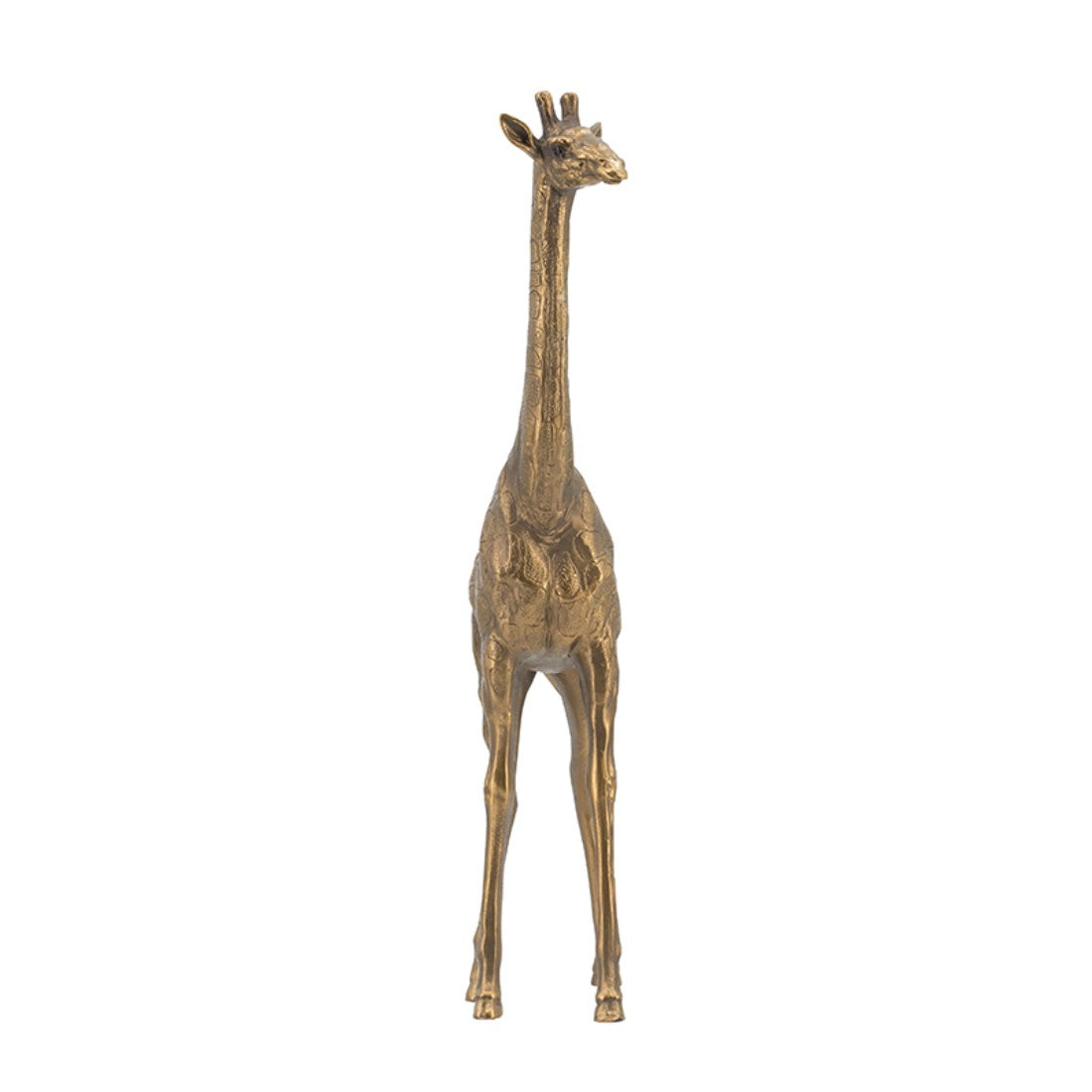 29CM Golden Giraffe