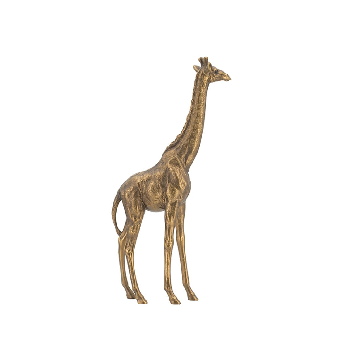 29CM Golden Giraffe