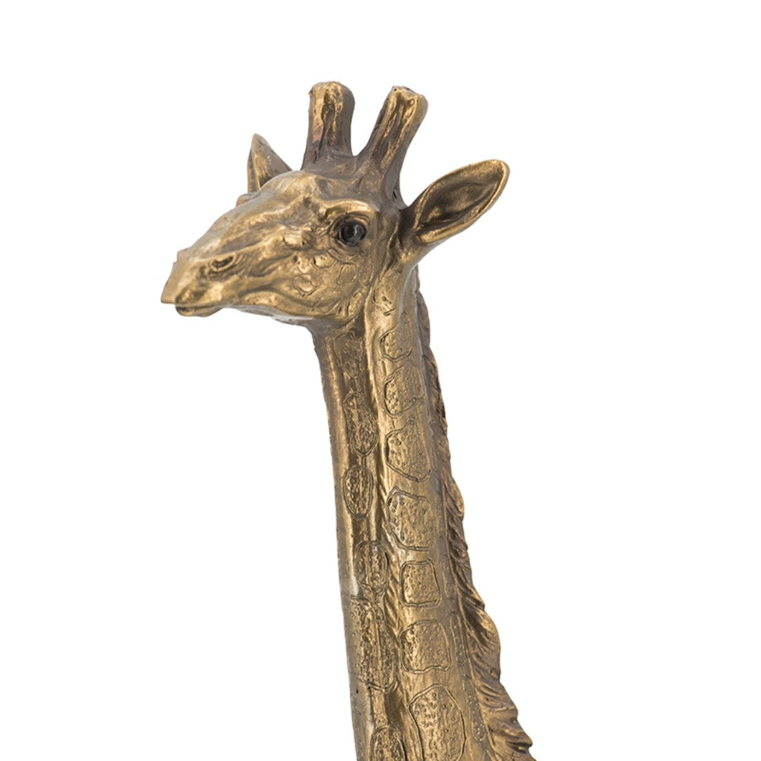 29CM Golden Giraffe