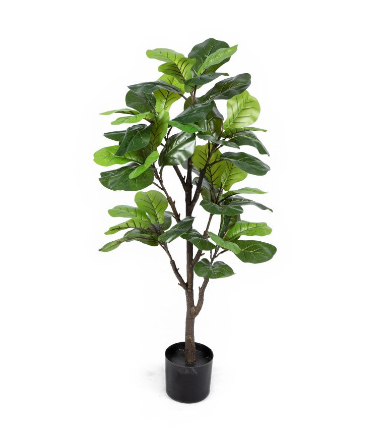 Fiddle Leaf Fig Tree (125CM)