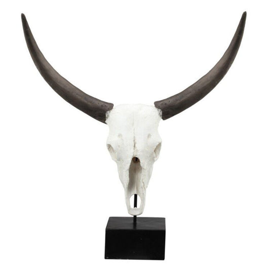 Resin Cow Skull