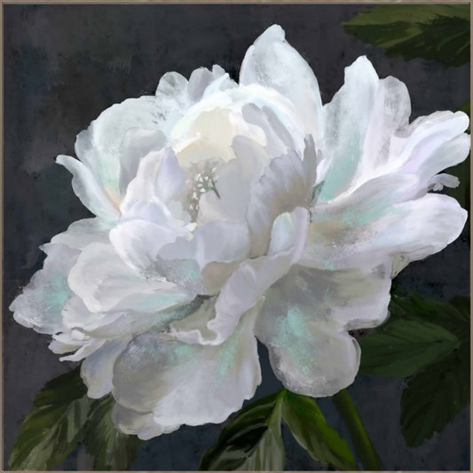 White Blooms Framed Canvas