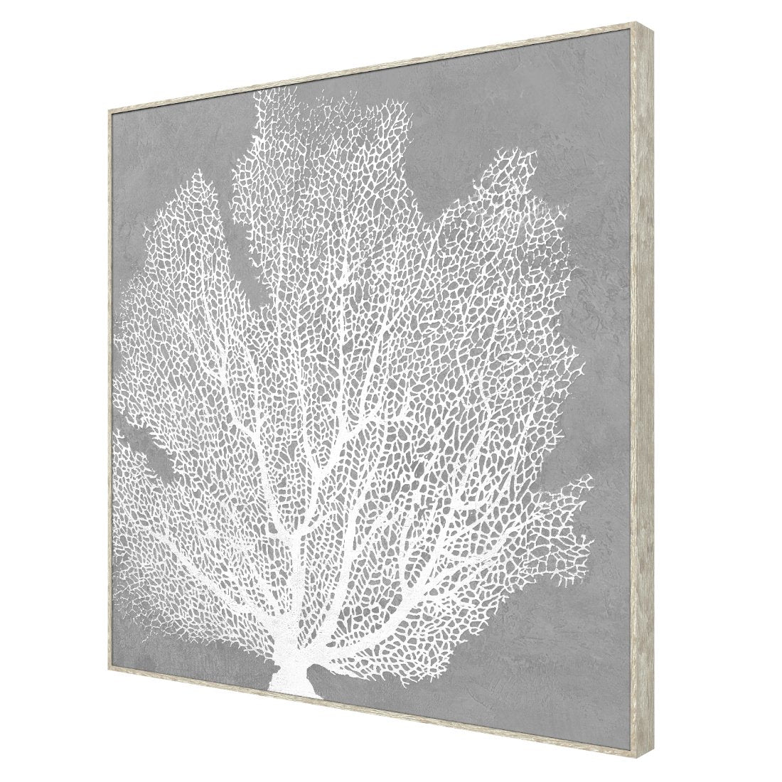 Reef Coral Framed Canvas