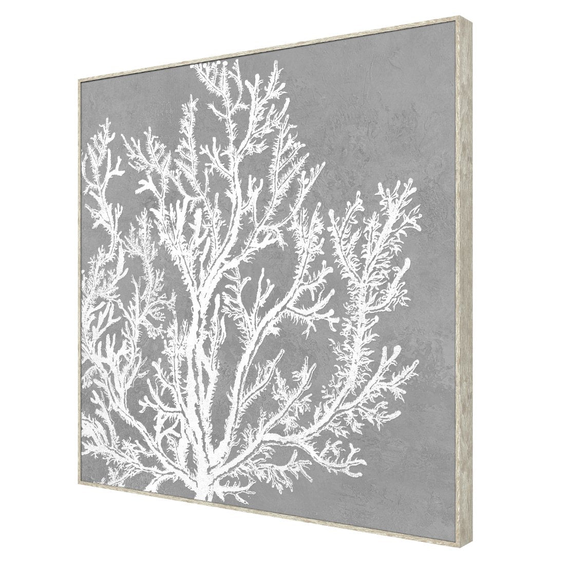 Reef Coral Framed Canvas