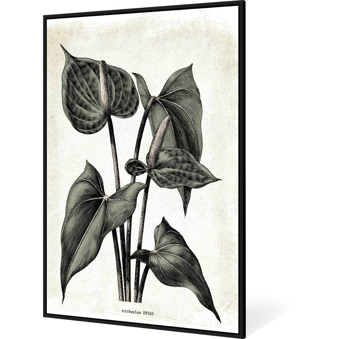 Botanic Garden Framed Canvas