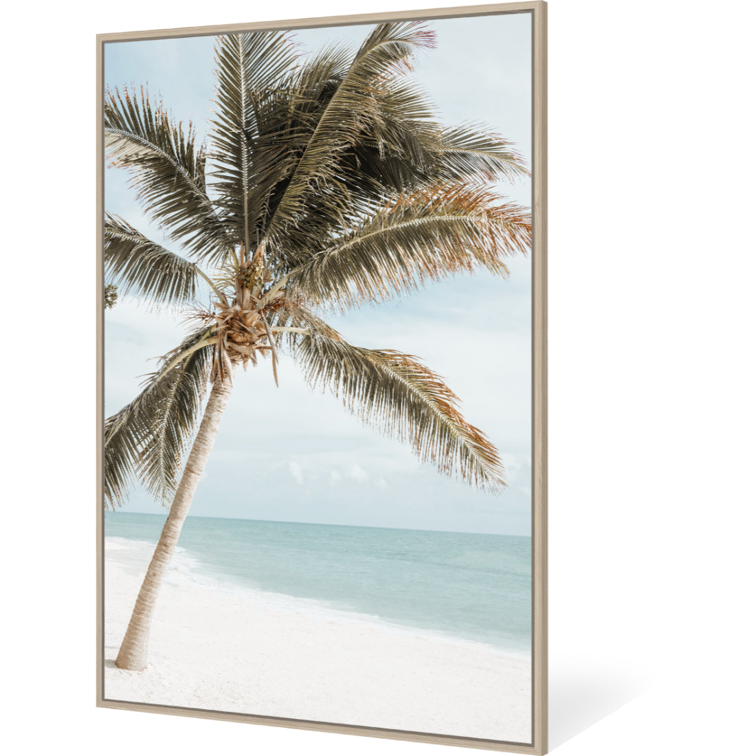 Palm Beach Variant 2 Framed Canvas