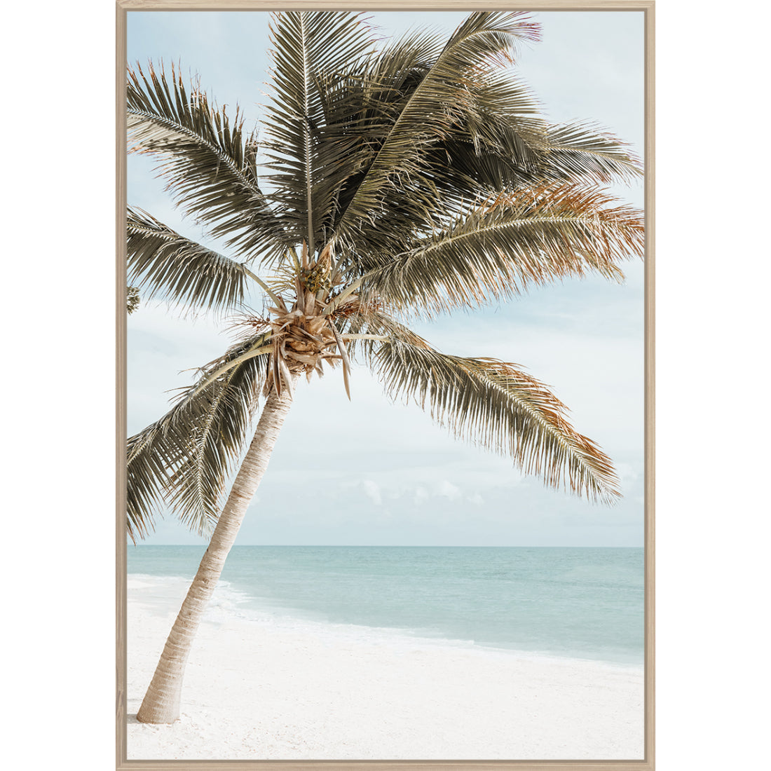 Palm Beach Variant 2 Framed Canvas